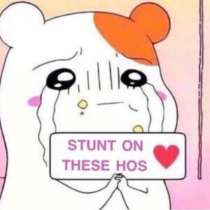 Meet your Posher, Ajhea